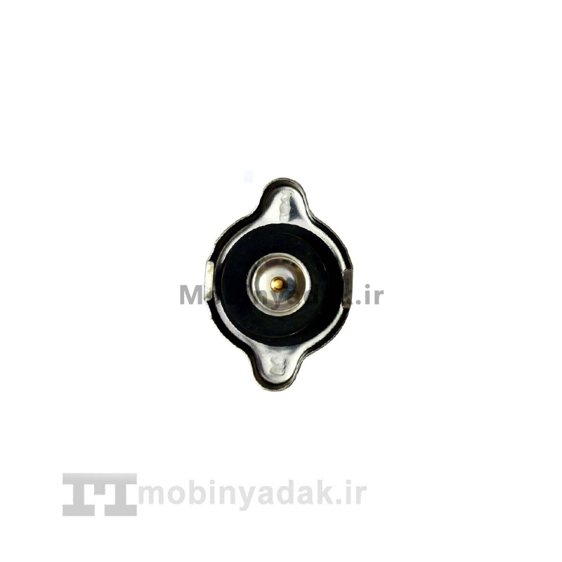 درب رادیاتور آب ولکس C30